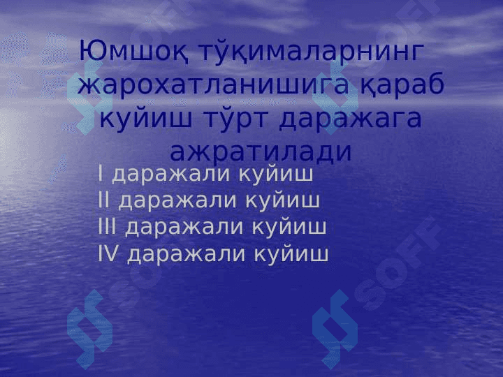 Kuyish 4