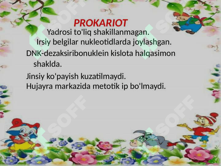 Prokariot hujayra 4