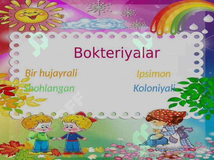 Prokariot hujayra 8