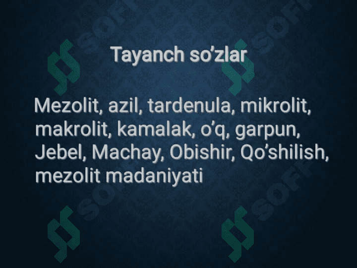 mezolit 3