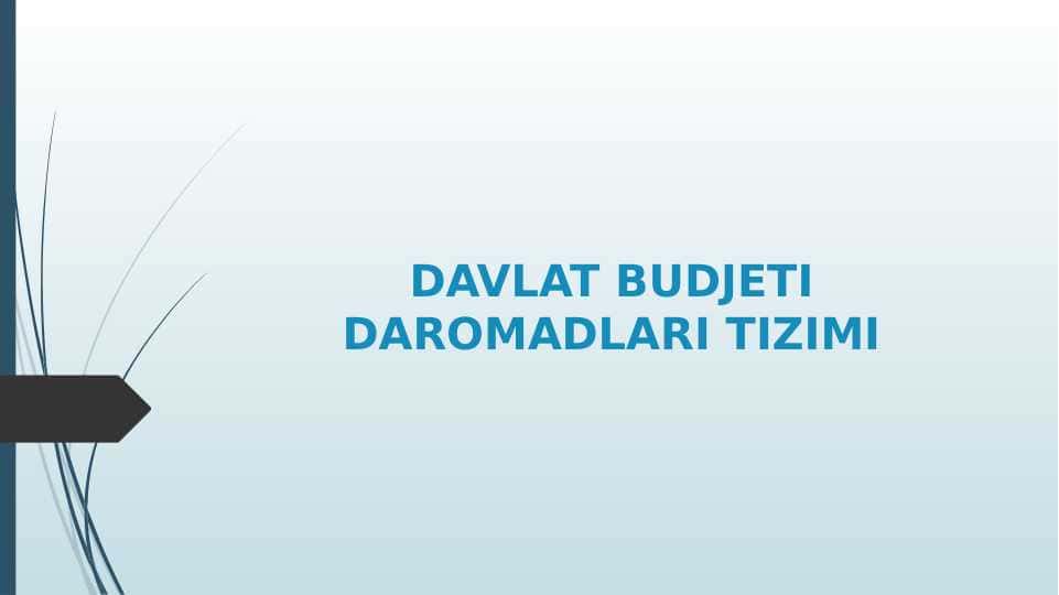 DAVLAT BUDJETI DAROMADLARI TIZIMI 1