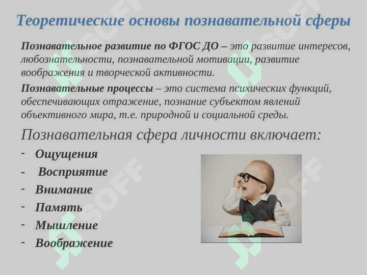 Познавательные процессы и развитие речи в раннем детстве 2