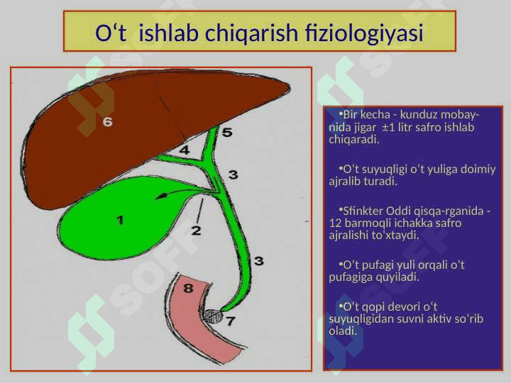 Surunkali xoletsistit. Klinikasi, diagnostikasi, davolash usullari 5