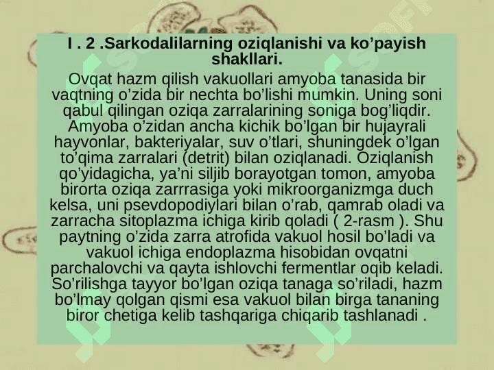SARKODALILAR SINFI. 6