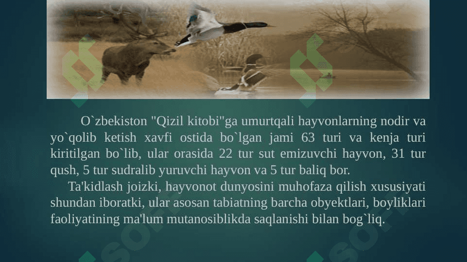 Hayvonot dunyosini muhofaza qilish yo’llari 6
