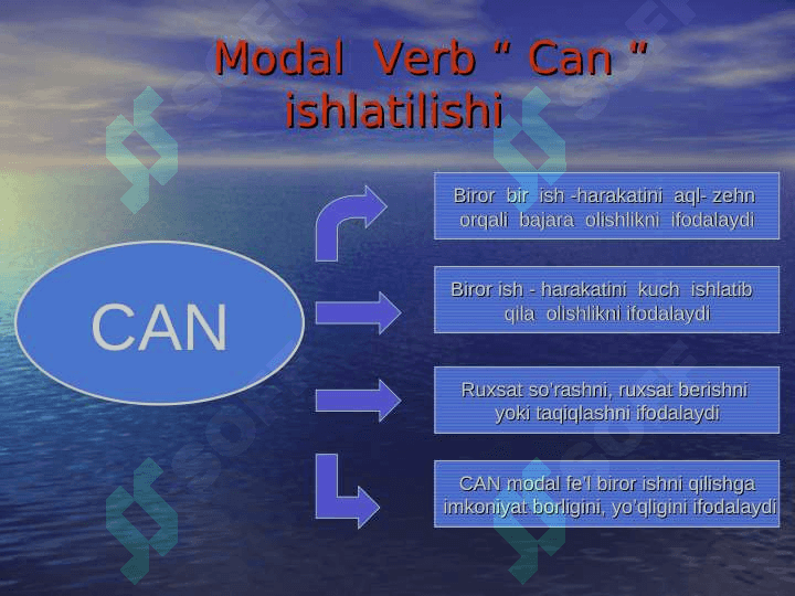 Modal verb can 5