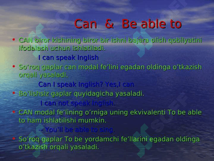 Modal verb can 8