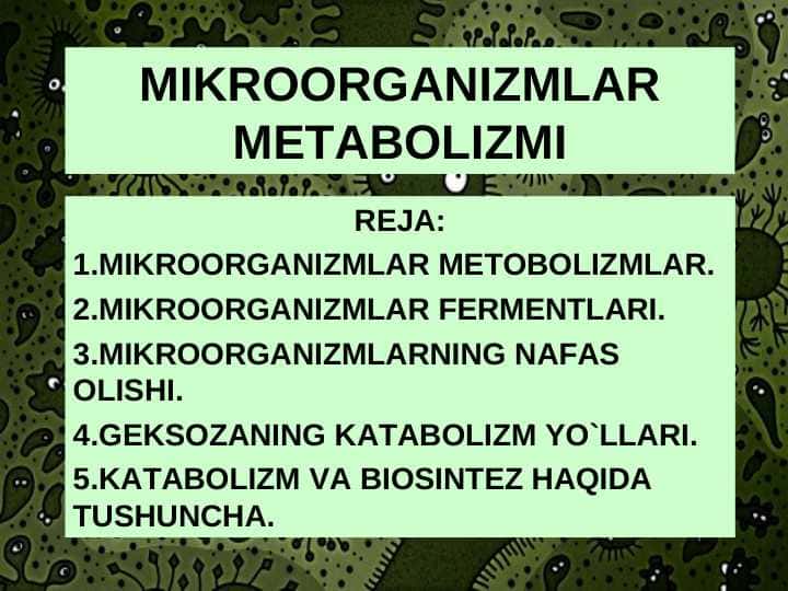 MIKROORGANIZMLAR MЕTABOLIZMI 1