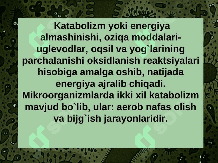 MIKROORGANIZMLAR MЕTABOLIZMI 4