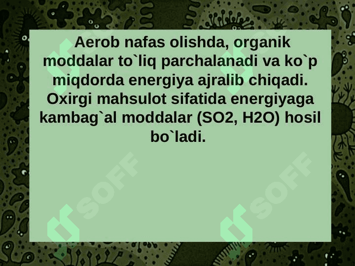 MIKROORGANIZMLAR MЕTABOLIZMI 5