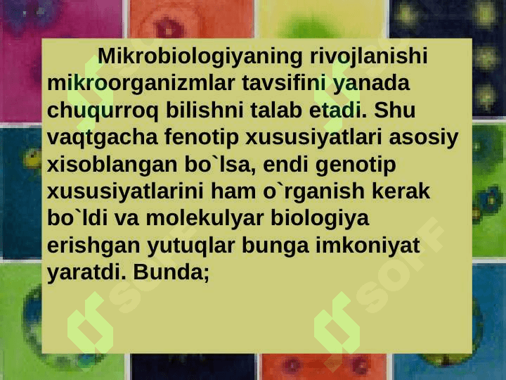 MIKROORGANIZMLAR KLASIFIKATSIYASI 5