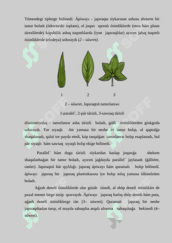 Botanika páninen «Japıraq» temasın oqıtıwda ámeliy tapsırmalar tayarlaw metodikası. 8