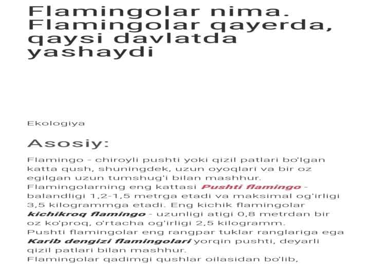 flomingo 1