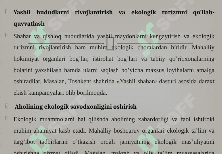 Mahalliy boshqaruv organlarining ekologik vakolatlari 8