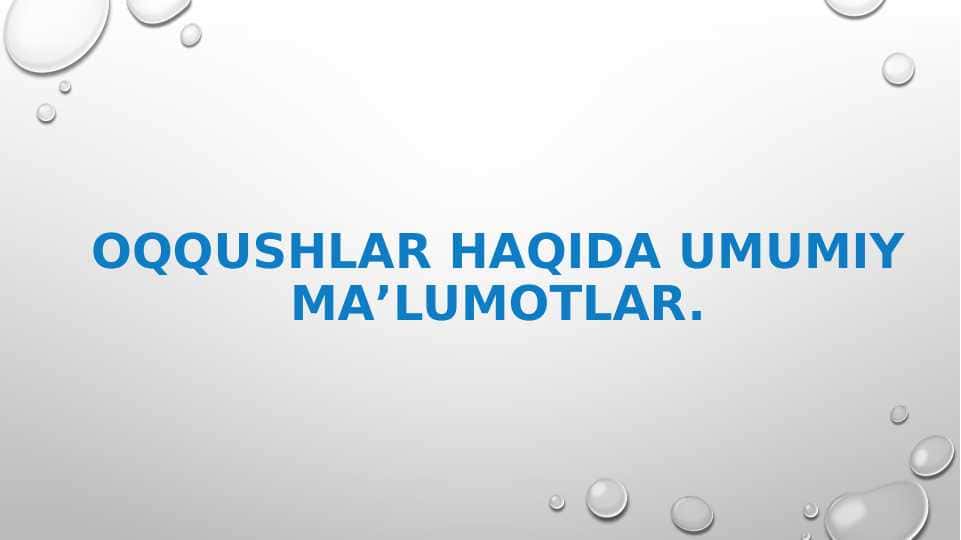 Oqqushlar haqida umumiy maʼlumotlar. pptx