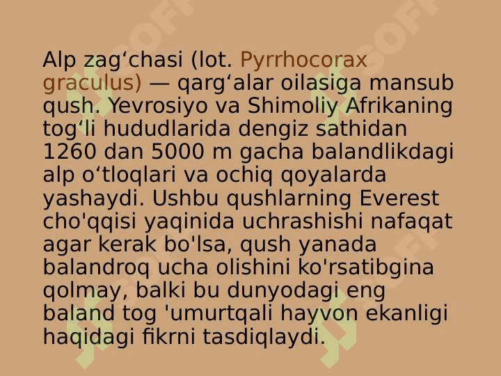 zoologiya zag`chalar turlari pptx 4