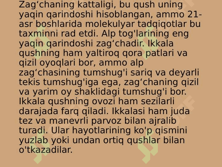 zoologiya zag`chalar turlari pptx 7