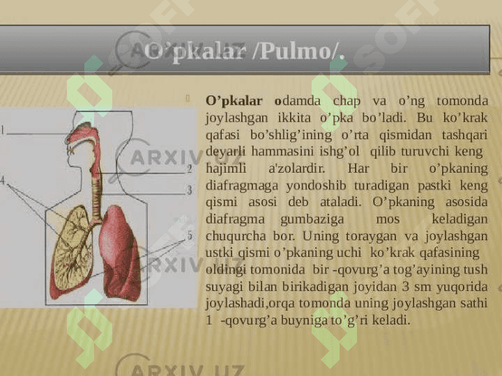 Nafas yoʻllari kasalliklarida bemorlarni parvarishlash 4