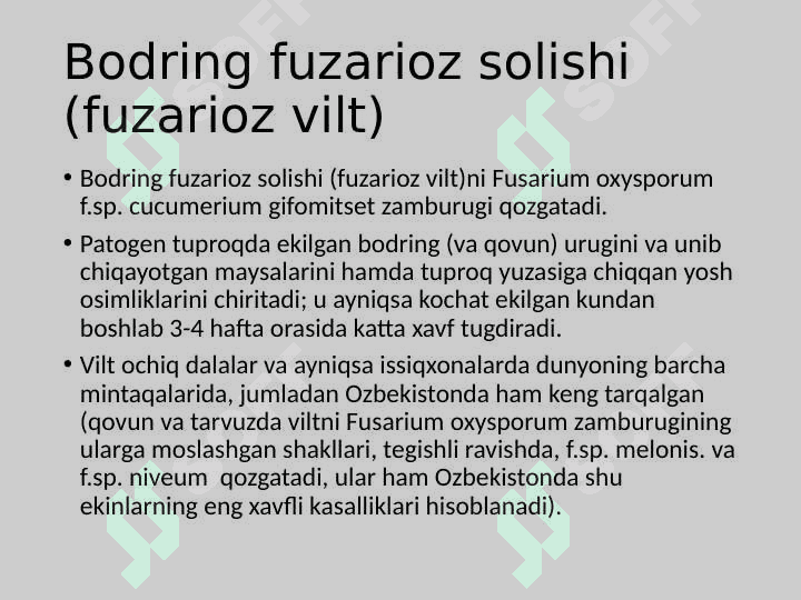 Poliz ekinlari kasalliklari 6