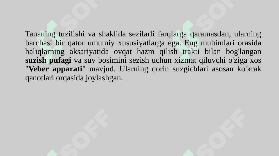 Karpsimonlar turkumi tavsifi  pptx 8