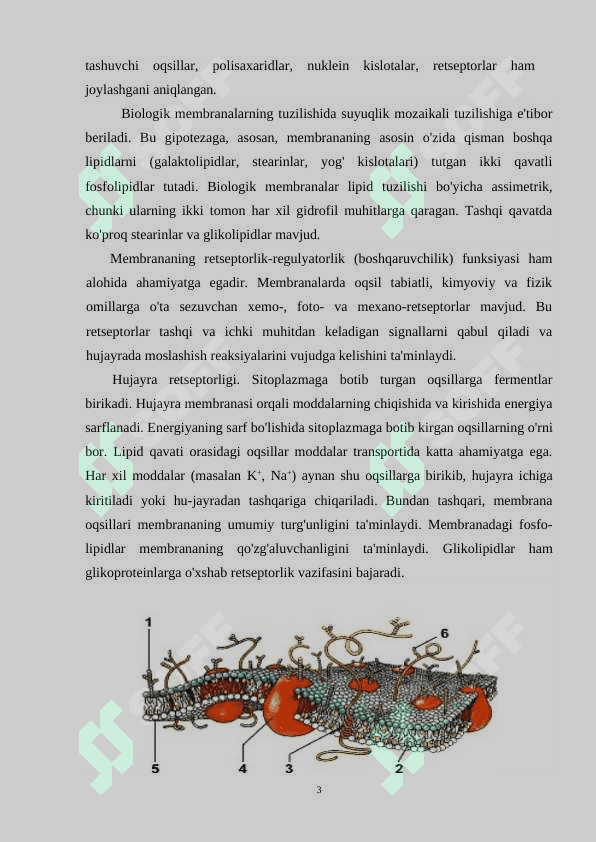 Hujayra membranasini tuzilish asoslari 3