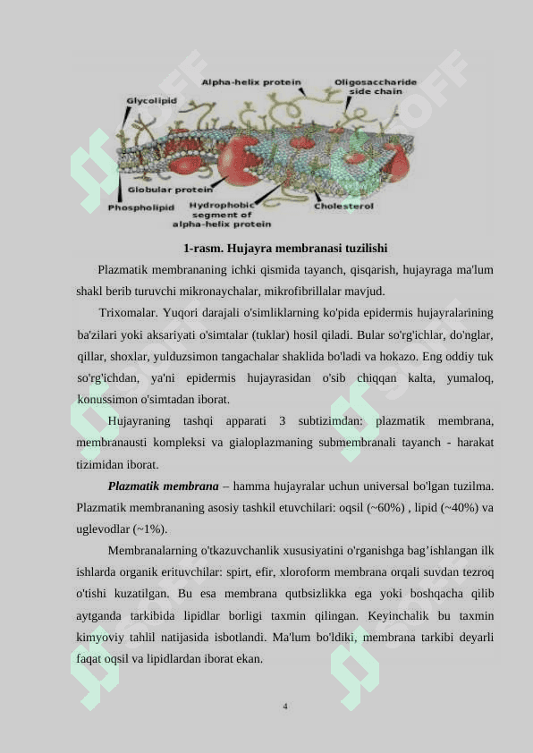 Hujayra membranasini tuzilish asoslari 4