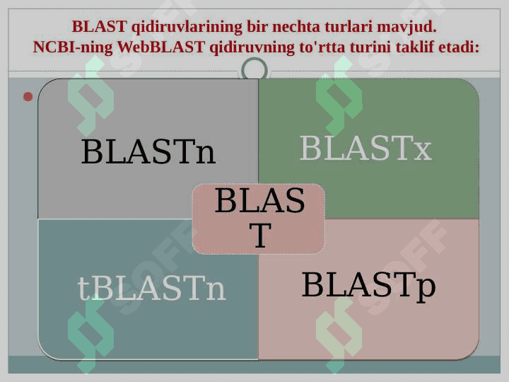 Blast dasturi ishlash mexanizmi 4