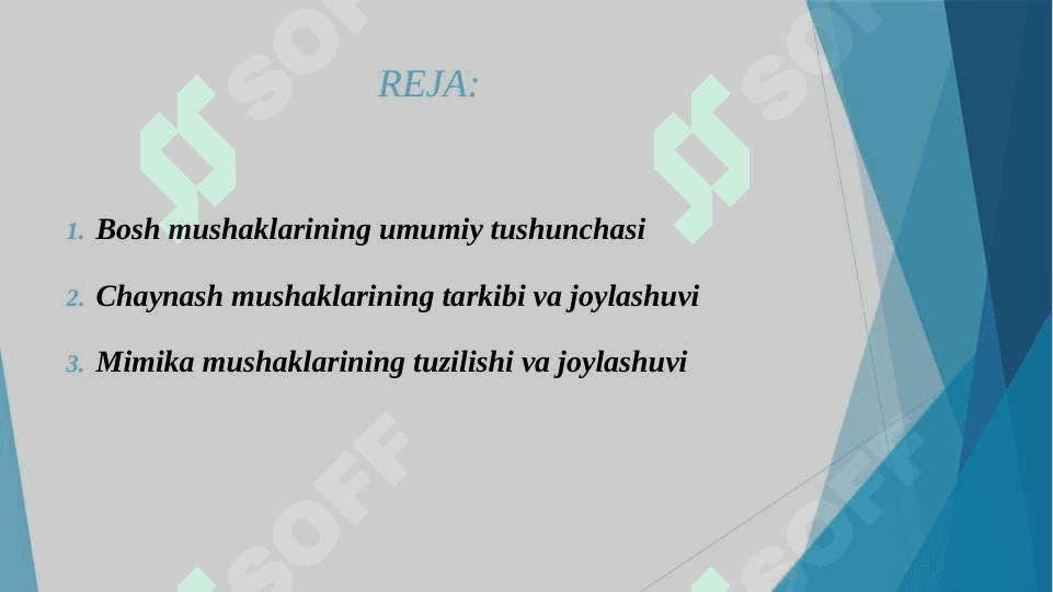 BOSH MUSHAKLARI. CHAYNOV VA MIMIKA MUSHAKLARI. ULARNING YOSHGA DOIR XUSUSIYATLARI. 2