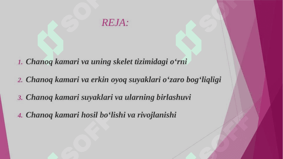 CHANOQ KAMARI ERKIN OYOQ SUYAKLARINING BIRLASHUVI HOSIL BO'LISHI, TUZILISHI, HARAKAT O'QLARI VA SATHLARI. 2