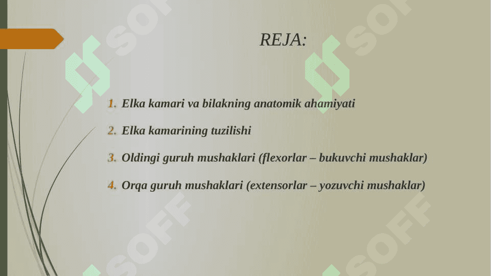 ELKA KAMARI VA ELKA MUSHAKLARI. BILAK MUSHAKLARI VA FASSIYALARI. 2