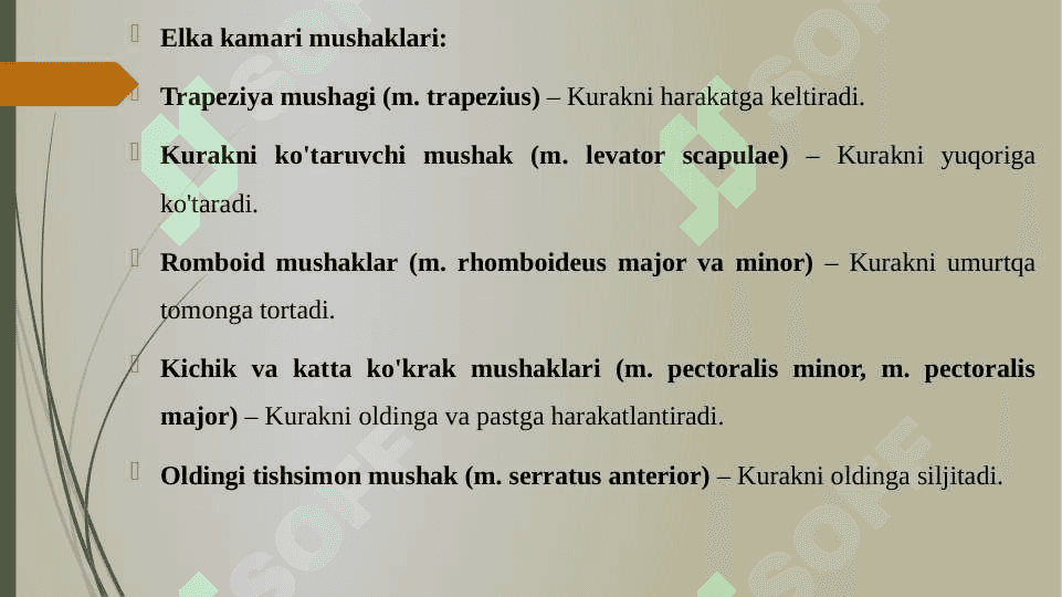 ELKA KAMARI VA ELKA MUSHAKLARI. BILAK MUSHAKLARI VA FASSIYALARI. 4