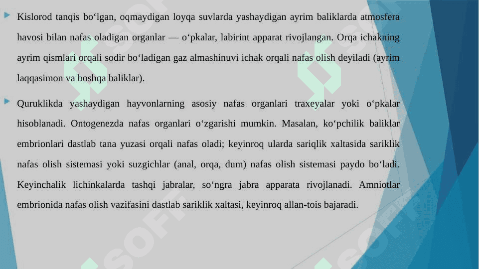 NAFAS ORGANLARI FAOLIYATIGA TA'SIR QILADIGAN VOSITALAR 4
