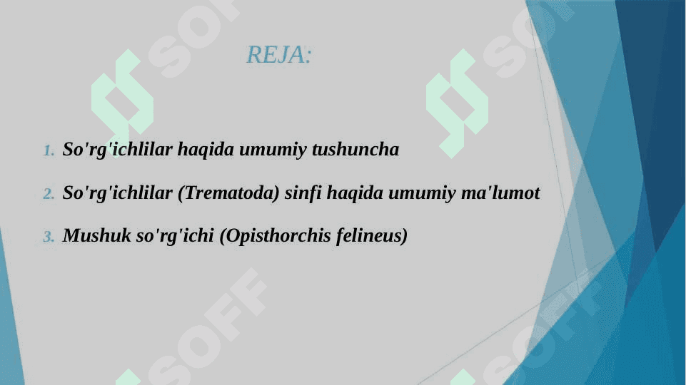 SO'RG'ICHLILAR - ODAM PARAZITLARI. JIGAR QURTI, LANSETSIMON SO'RG'ICH, MUSHUK, O'PKA, QON SO'RG'ICHLILAR 2