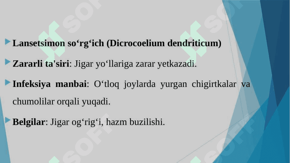 SO'RG'ICHLILAR - ODAM PARAZITLARI. JIGAR QURTI, LANSETSIMON SO'RG'ICH, MUSHUK, O'PKA, QON SO'RG'ICHLILAR 4