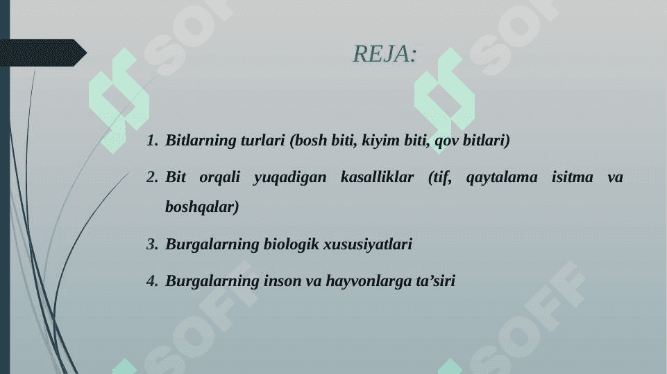 TIBBIYOTDA AHAMIYATGA EGA BO'LGAN HASHAROTLAR BIT,BURGA 2