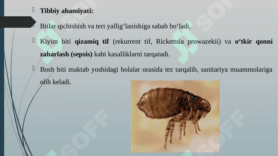 TIBBIYOTDA AHAMIYATGA EGA BO'LGAN HASHAROTLAR BIT,BURGA 4