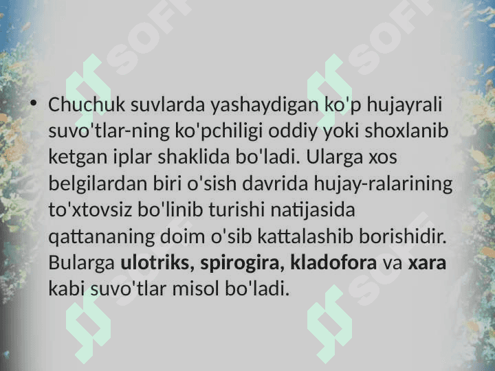 KO'P HUJAYRALI YASHIL SUVO'TLAR 3