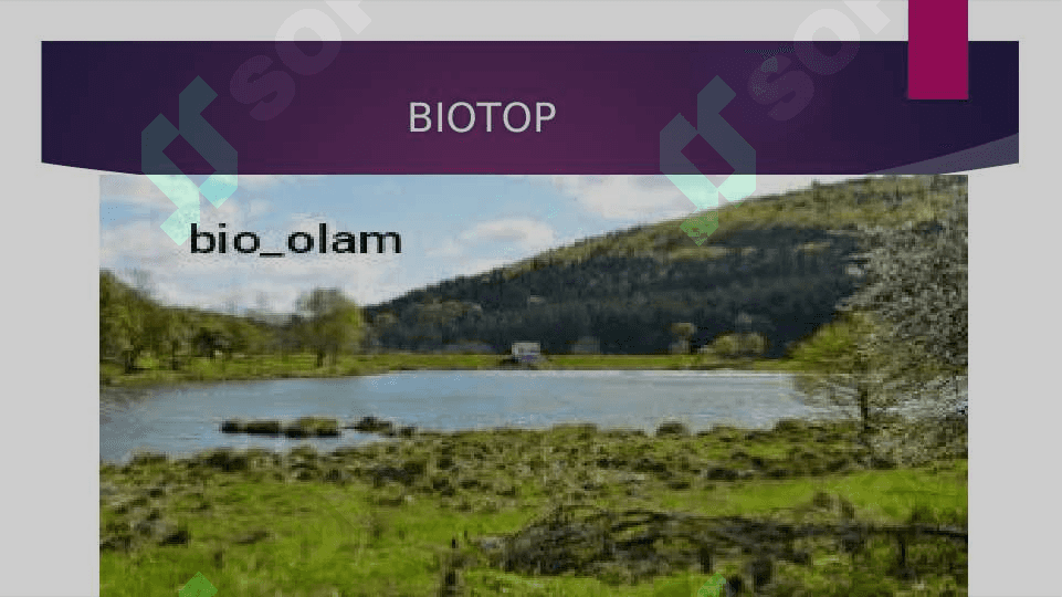 BIOTSENOZNING EKOLOGIK STRUKTURASI .TABIIY VA SUNIY EKOTIZMLAR. 5