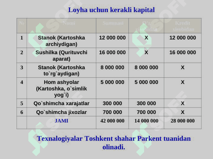Chips ishlab chiqarish biznes reja 5
