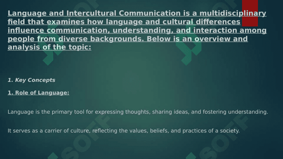 Language and Intercultural Comunication 2