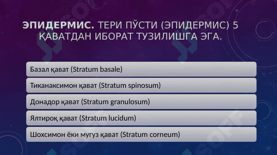 Chaqoloqlarning terisining tuzilishi va yiringli kassaliklari 5