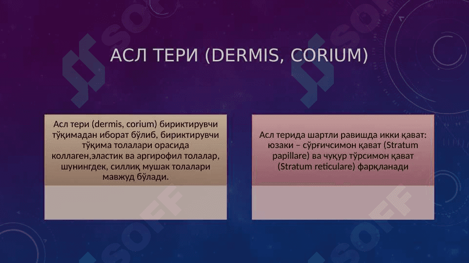 Chaqoloqlarning terisining tuzilishi va yiringli kassaliklari 6