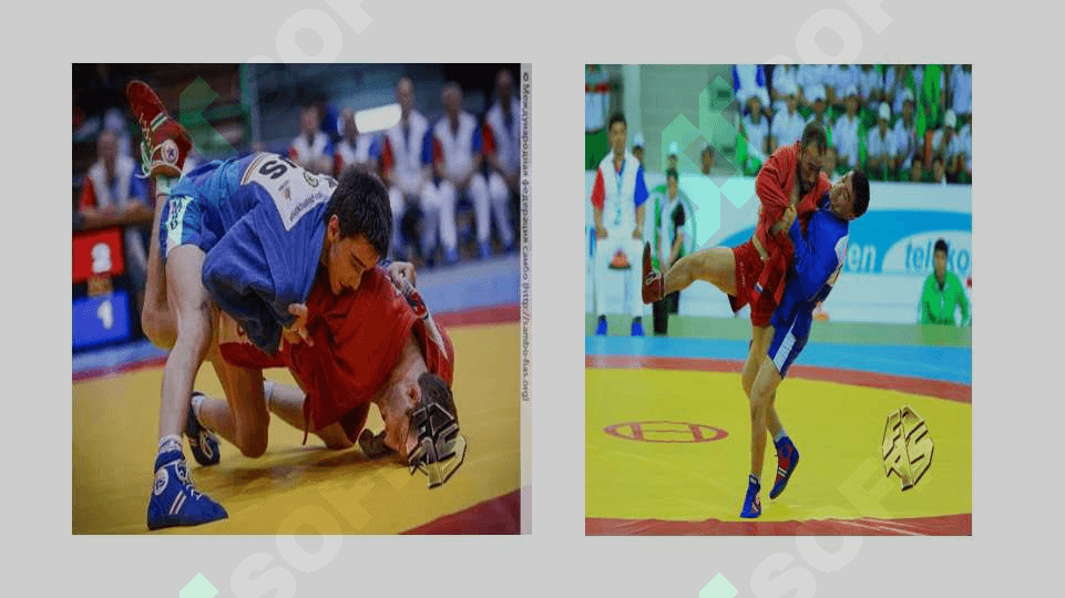 Sambo sport turi 3
