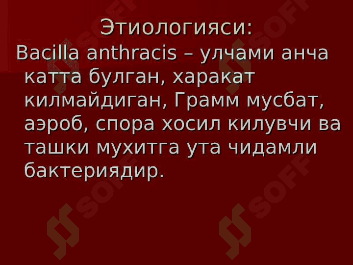 Kuydirgi 8