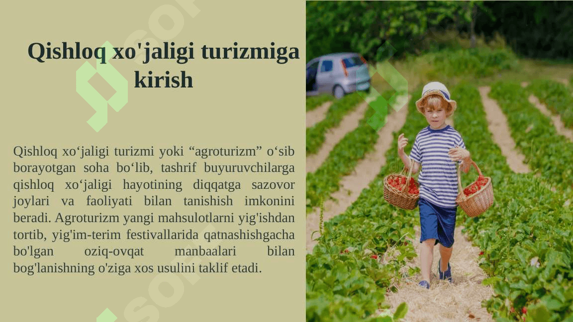 mintaqalarda qishloq turizmi 2