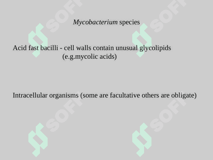 EID-tuberculosis 2