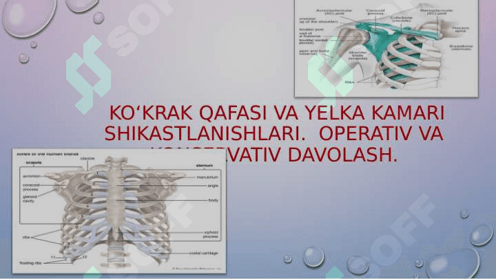 KO‘KRAK QAFASI VA YELKA KAMARI  SHIKASTLANISHLARI 2