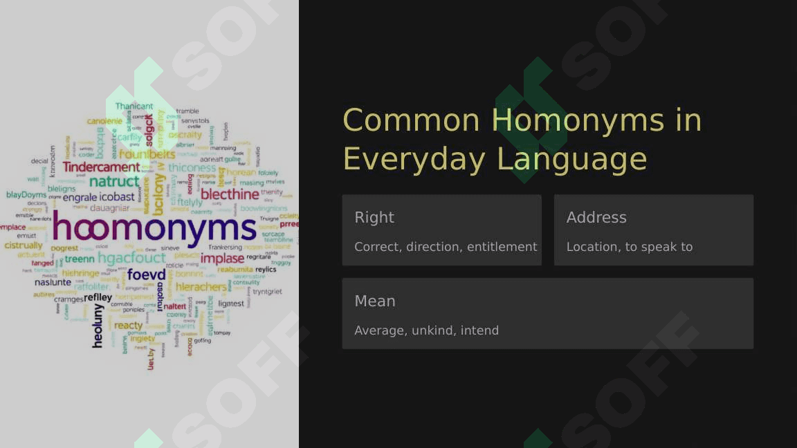 Homonyms in Modern English A Linguistic and Practical Perspective 4