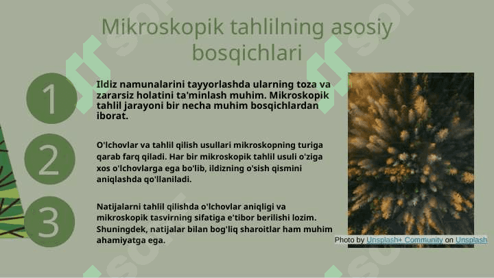 Ildizning o'sish qismini aniqlash usulli 5