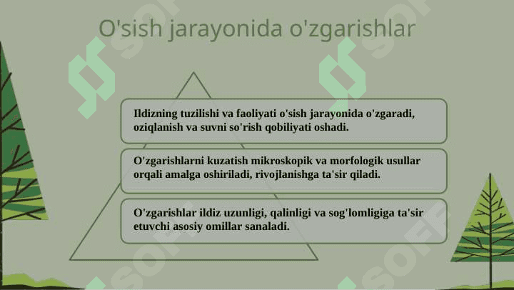Ildizning o'sish qismini aniqlash usulli 6